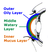 Types of Tear Film